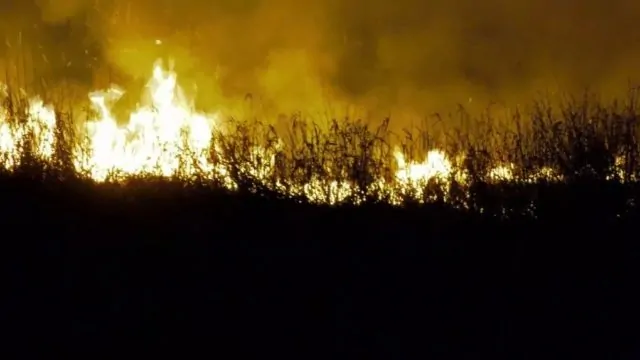 大温鹿湖公园突发熊熊大火,现场照片触目惊心,起火原因匪夷所思 | 加国地产资讯 -第1张 大温鹿湖公园突发熊熊大火,现场照片触目惊心,起火原因匪夷所思 | 加国地产资讯 -第1张