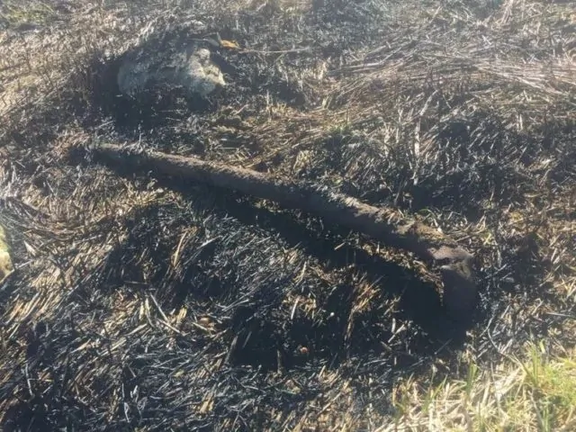 大温鹿湖公园突发熊熊大火,现场照片触目惊心,起火原因匪夷所思 | 加国地产资讯 -第4张 大温鹿湖公园突发熊熊大火,现场照片触目惊心,起火原因匪夷所思 | 加国地产资讯 -第4张