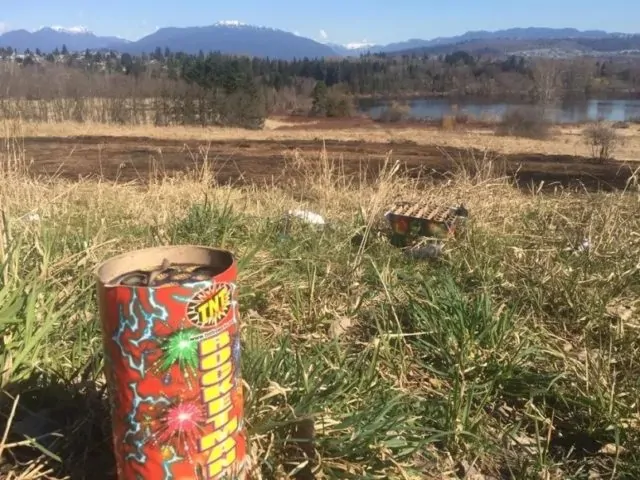 大温鹿湖公园突发熊熊大火,现场照片触目惊心,起火原因匪夷所思 | 加国地产资讯 -第5张 大温鹿湖公园突发熊熊大火,现场照片触目惊心,起火原因匪夷所思 | 加国地产资讯 -第5张