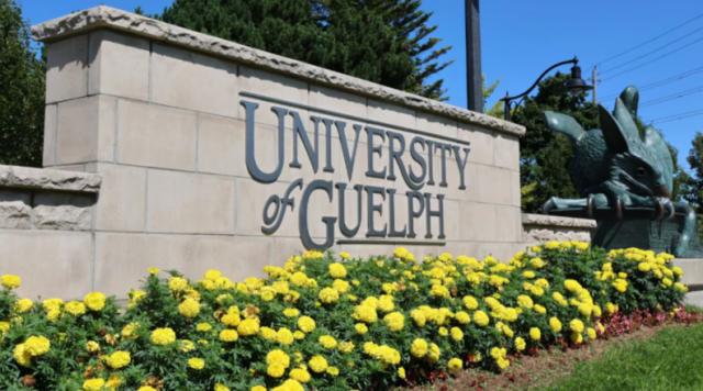 462md